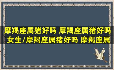 摩羯座属猪好吗 摩羯座属猪好吗女生/摩羯座属猪好吗 摩羯座属猪好吗女生-我的网站